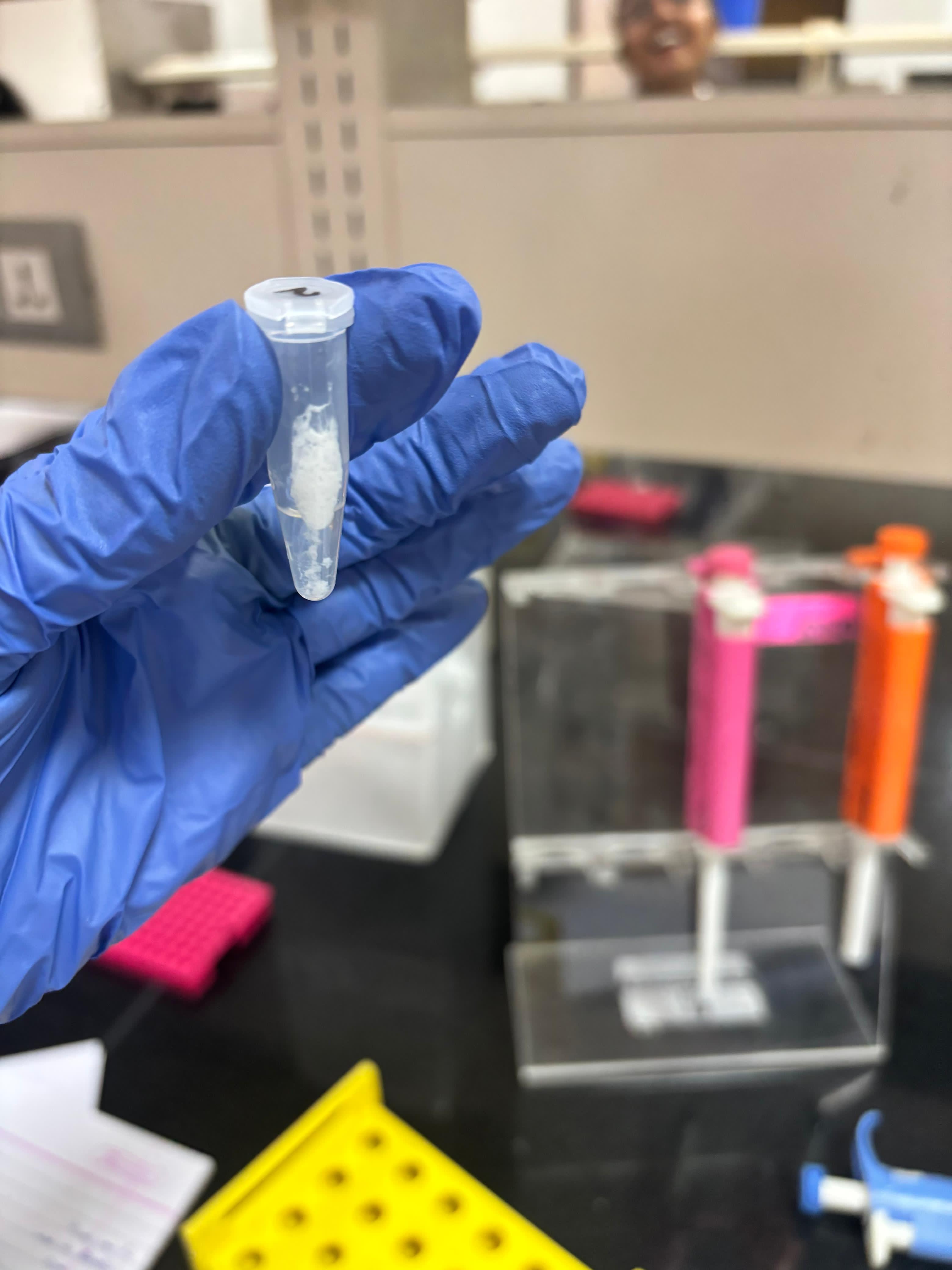 DNA extraction